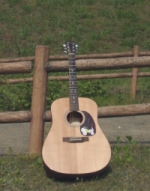 Martin D16-GT@ƂÕM^[